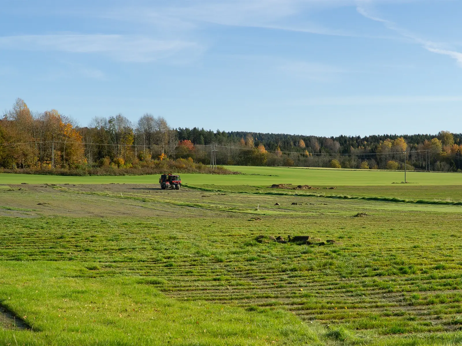 Planlegg din ferdigplen til våren